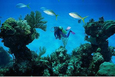 EA《麦登橄榄球24》配置需求公开 推荐GTX 1660